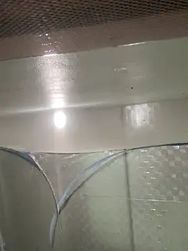 muti99 online show from 8, 2, 2026