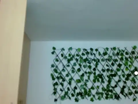 kuroneko 97 online show from 29, 11, 2025