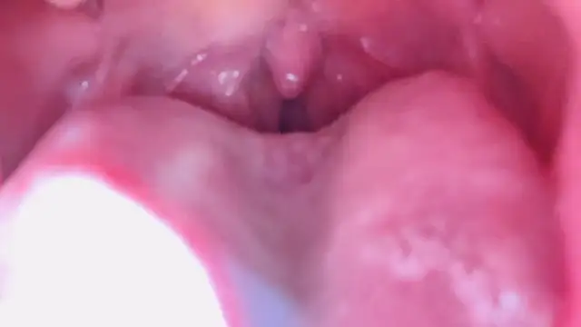 LT-333 online show from 17, 1, 2026