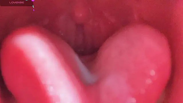 LT-333 online show from 25, 2, 2026