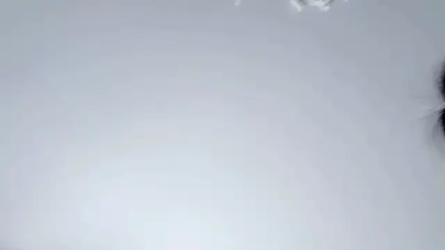 Celestisse- online show from 29, 11, 2025