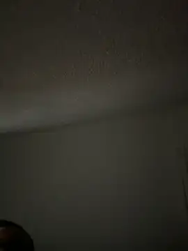 lige-8888 online show from 29, 11, 2025