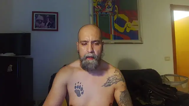 AMIRDIB2025 online show from 12, 6, 2026