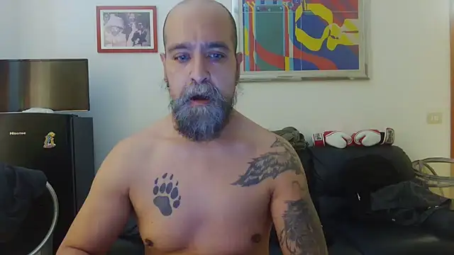 Snapshot of AMIRDIB2025 chatting on 15, 6, 2026 AMIRDIB2025 online show from 15, 6, 2026