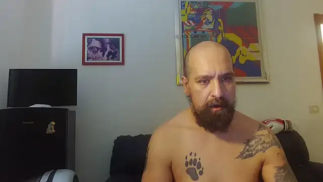 Snapshot of AMIRDIB2025 chatting on 17, 6, 2026 AMIRDIB2025 online show from 17, 6, 2026