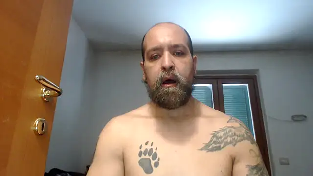 Snapshot of AMIRDIB2025 chatting on 21, 7, 2026 AMIRDIB2025 online show from 21, 7, 2026