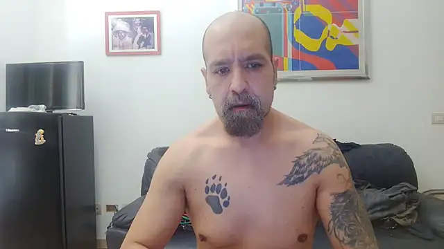 Snapshot of AMIRDIB2025 chatting on 28, 7, 2026 AMIRDIB2025 online show from 28, 7, 2026