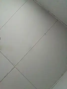 Snapshot of losangelesaid chatting on 4, 12, 2025 losangelesaid online show from 4, 12, 2025