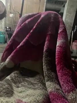 Snapshot of anh-soi123 chatting on 11, 3, 2026 anh-soi123 online show from 11, 3, 2026