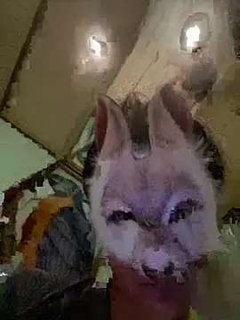 aotaro0721 online show from 27, 2, 2026