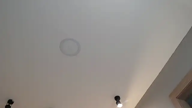 NaughtyNebula online show from 17, 1, 2026