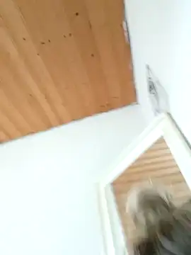 Milas Dreams OF online show from 15, 12, 2025