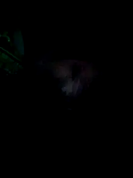 Snapshot of KF_hway chatting on 25, 3, 2026 KF hway online show from 25, 3, 2026