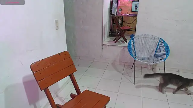 maxI dick33 online show from 14, 2, 2026