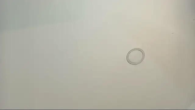 tamara walter online show from 13, 2, 2026