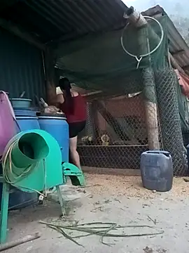 sary-hot2x online show from 15, 4, 2026