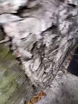 modelo hot online show from 9, 1, 2026