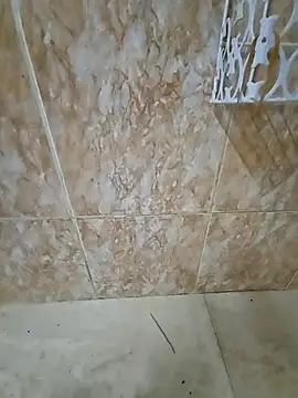 Snapshot of Bigkannan chatting on 31, 1, 2026 Bigkannan online show from 31, 1, 2026