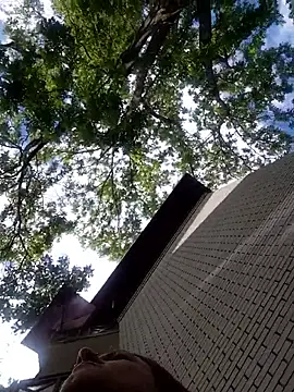 Snapshot of Bellaa25 chatting on 6, 6, 2026 Bellaa25 online show from 6, 6, 2026