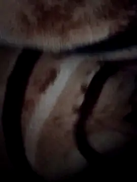 pihuu1313 online show from 9, 2, 2026