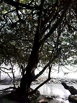 Andreskelly online show from 13, 2, 2026