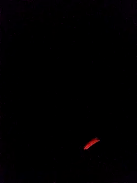 leobct555 online show from 22, 3, 2026