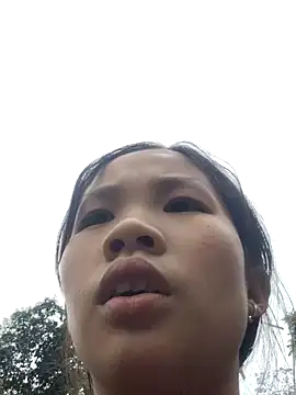 mit0-77 online show from 8, 1, 2026