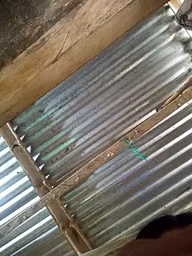 Rousse uwu online show from 8, 1, 2026