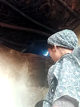 Mohni pal online show from 12, 1, 2026