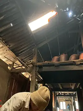 Nika-be online show from 13, 1, 2026