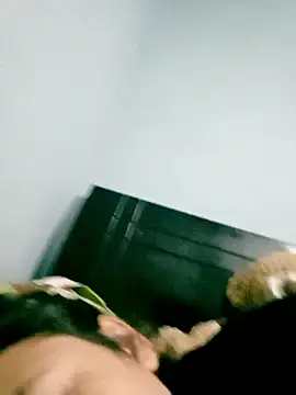 moodsailor online show from 7, 1, 2026