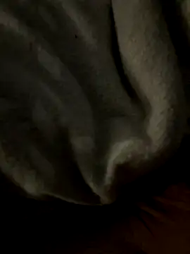 kb20sss online show from 14, 12, 2025