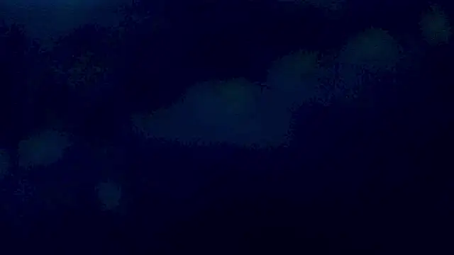 Sthefanyx2 online show from 4, 3, 2026