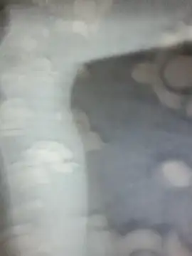 Snapshot of saxy_bhabi_2002 chatting on 19, 1, 2026 saxy bhabi 2002 online show from 19, 1, 2026