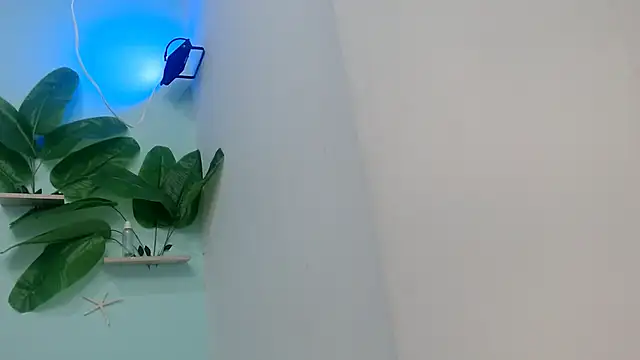 Snapshot of NOVAHOT98 chatting on 12, 1, 2026 NOVAHOT98 online show from 12, 1, 2026