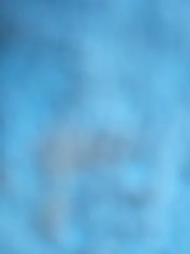 Snapshot of layanehot chatting on 21, 12, 2025 layanehot online show from 21, 12, 2025