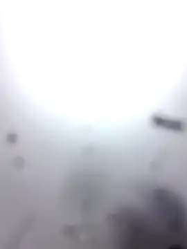 M8ygcthf3 online show from 8, 3, 2026