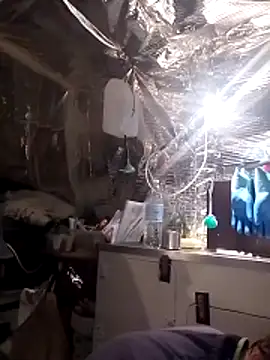 Quebec46 online show from 14, 4, 2026