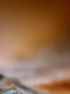 aman4404 online show from 8, 1, 2026