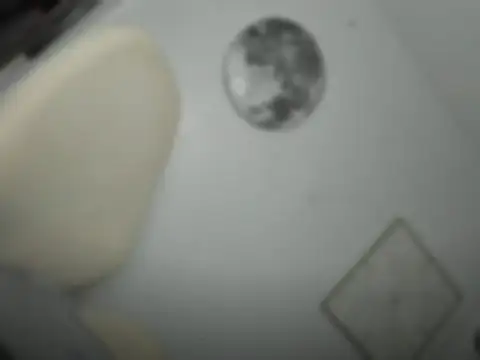 mxshemale ladyboy online show from 26, 3, 2026