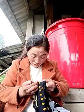 seacyre online show from 23, 12, 2025