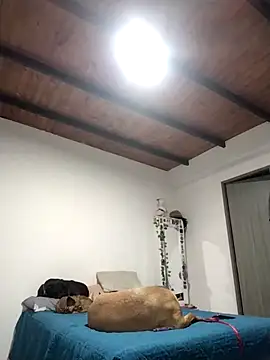 Perfect match19 online show from 22, 12, 2025