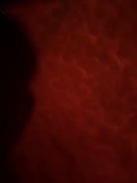 Sweetley online show from 2, 2, 2026