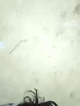 vishalk12346 online show from 8, 1, 2026