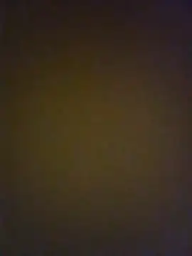 zeur online show from 9, 1, 2026