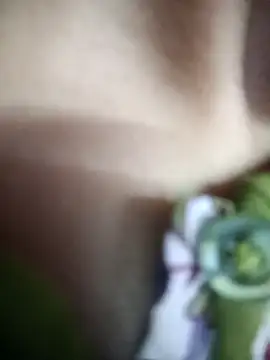 Eva 890 online show from 29, 3, 2026