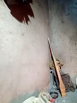 yula-bi online show from 24, 2, 2026