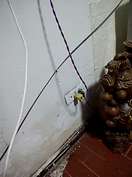 thobaby99 online show from 9, 1, 2026