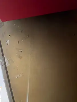 lele202526 online show from 1, 4, 2026