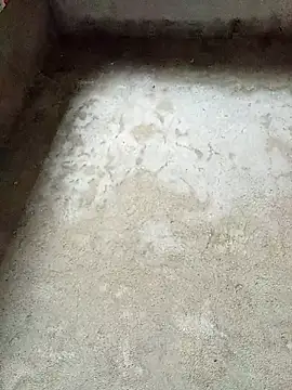 dakota-kis online show from 4, 2, 2026